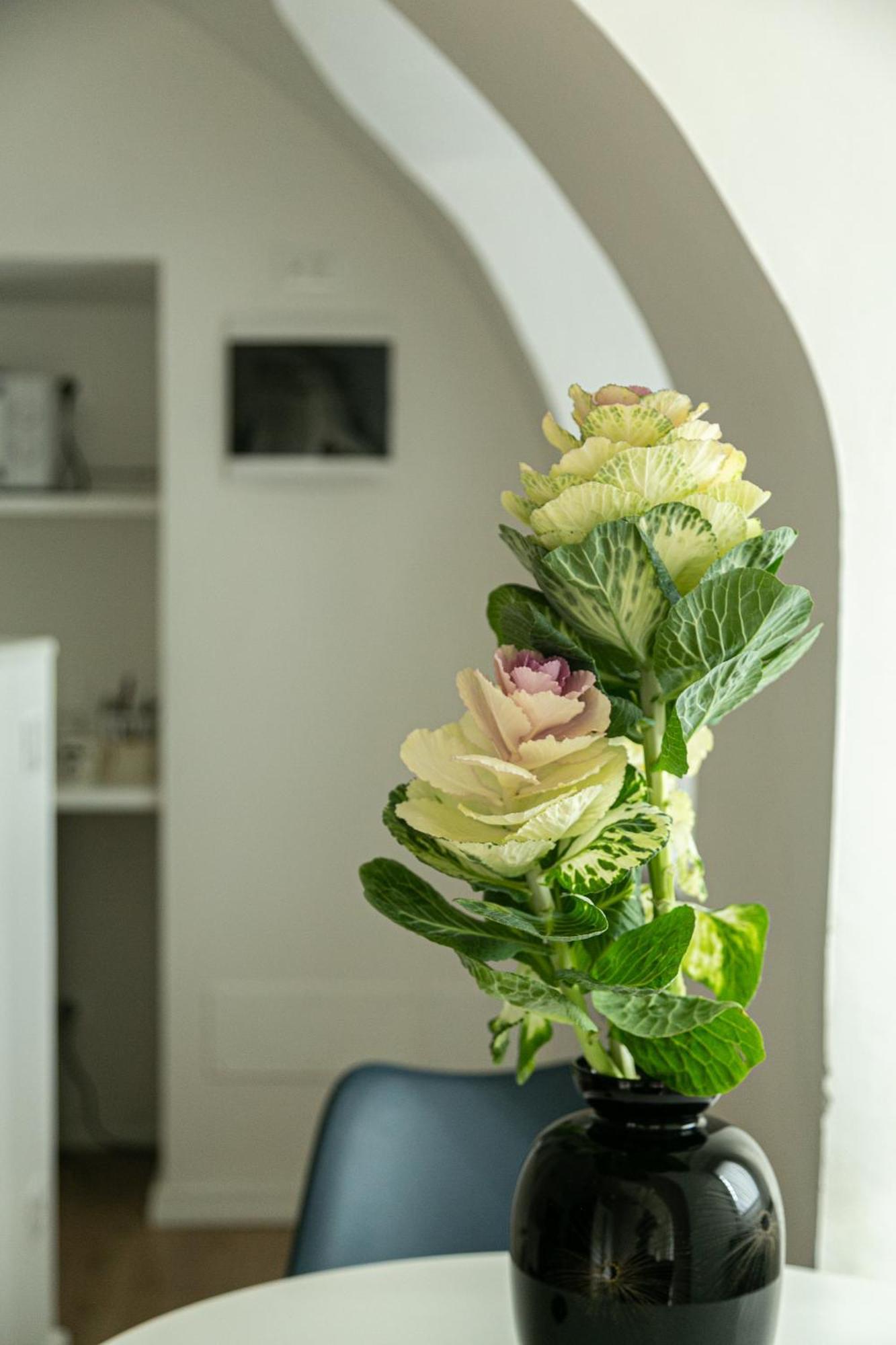 Apartmán Casa Di Beppe Citta Alta Bergamo Exteriér fotografie